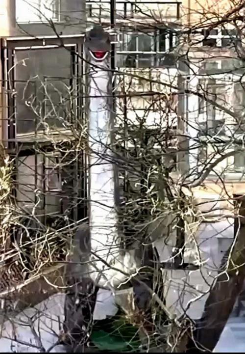 Hàng xóm dựng tượng khủng long cao 15 mét ngoài vườn, một người sợ đến không ngủ nổi-2