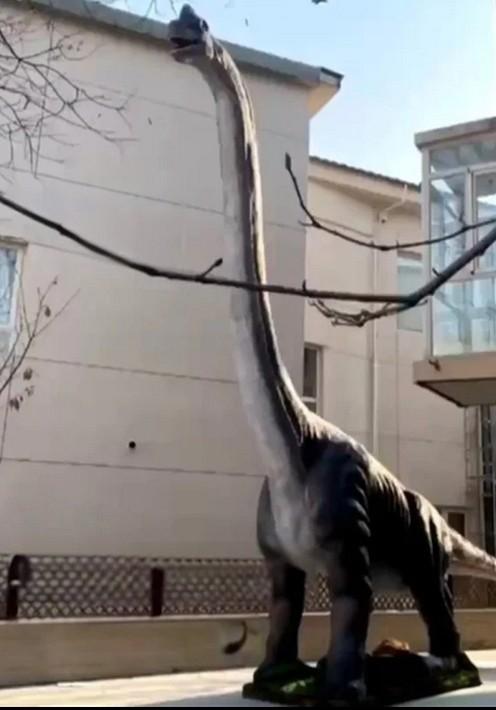 Hàng xóm dựng tượng khủng long cao 15 mét ngoài vườn, một người sợ đến không ngủ nổi-1
