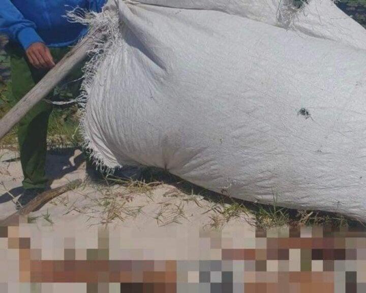 Phát hiện thi thể người đàn ông trong rẫy ở Bình Thuận-1