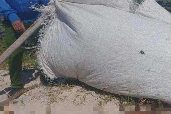 Phát hiện thi thể bé trai mất tích khi đạp xe đi chơi ở Hà Tĩnh-2