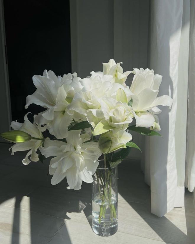 Cách decor nhà đẹp lại đầy sang chảnh như MC 3000 chữ Thanh Thanh Huyền-13