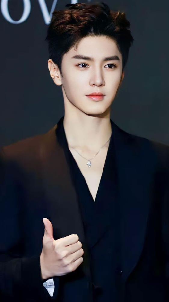 Hé lộ chân dung mẹ ruột Trần Triết Viễn, hóa ra nét đẹp của nam diễn viên được thừa hưởng từ đây-2