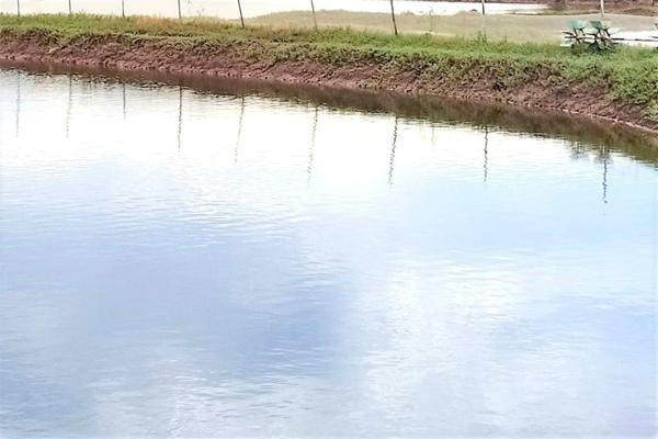 Tạm giữ tài xế bỏ trốn sau khi gây tai nạn khiến cụ bà tử vong-2