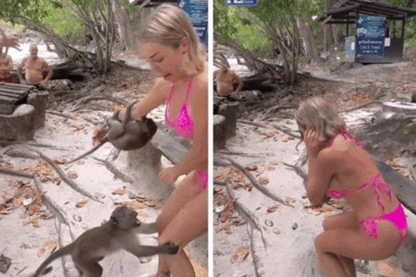 36.000 người mong người mẫu làm chết 7 vật nuôi không nuôi thú cưng nữa-4