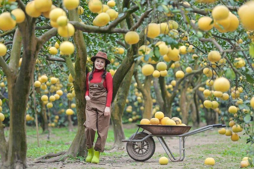 Đi gần 200 km, chi tiền triệu để check-in tại thủ phủ bưởi Diễn Hà Nội-5