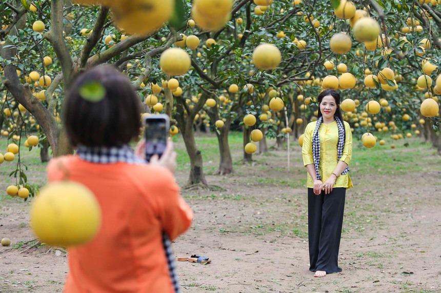 Đi gần 200 km, chi tiền triệu để check-in tại thủ phủ bưởi Diễn Hà Nội-6