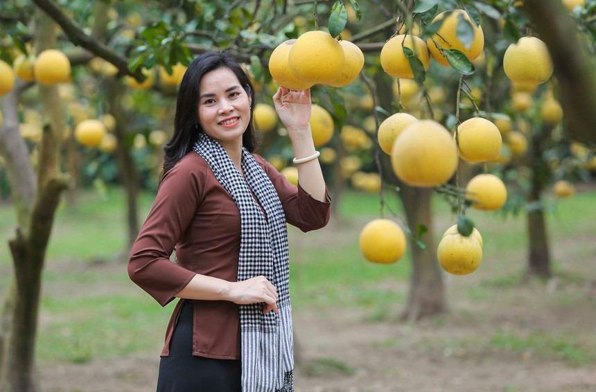 Đi gần 200 km, chi tiền triệu để check-in tại thủ phủ bưởi Diễn Hà Nội-7