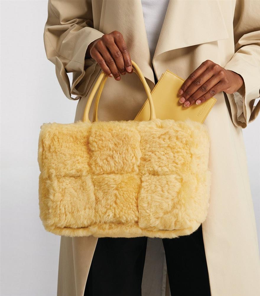 10 mẫu túi xách phối lông cừu sang chảnh và sành điệu-3