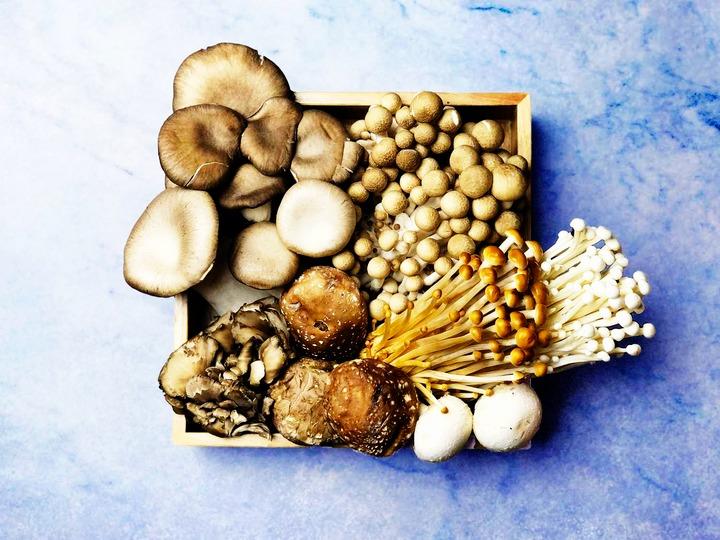 Lý do bạn nên ăn nấm mỗi ngày-1