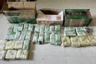 Phá đường dây vận chuyển hơn 290kg ma túy từ Lào về Việt Nam