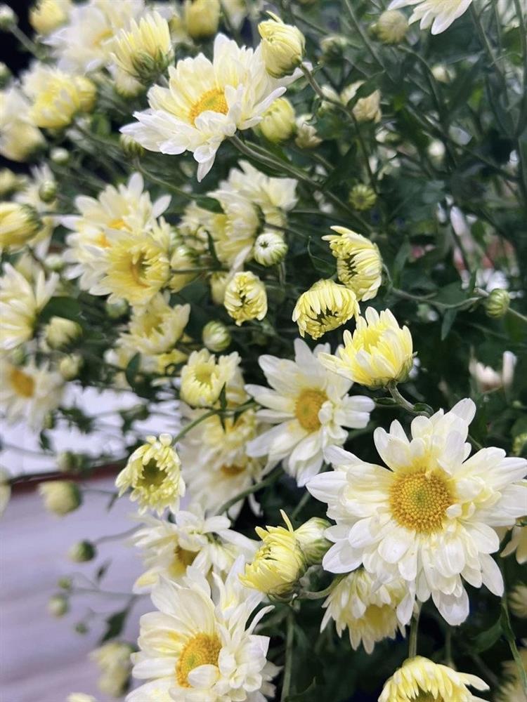 BTV Hoàng Trang khoe không gian sống, chưa tới Tết nhà đã rực rỡ toàn hoa-10