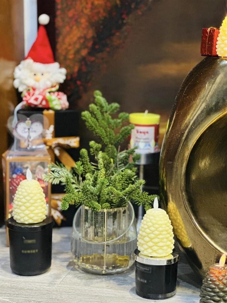 BTV Hoàng Trang khoe không gian sống, chưa tới Tết nhà đã rực rỡ toàn hoa-13