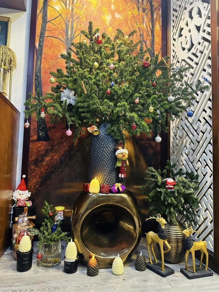 BTV Hoàng Trang khoe không gian sống, chưa tới Tết nhà đã rực rỡ toàn hoa-14