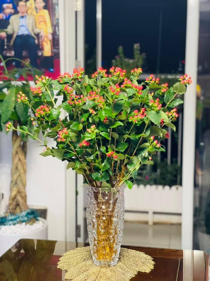 BTV Hoàng Trang khoe không gian sống, chưa tới Tết nhà đã rực rỡ toàn hoa-20