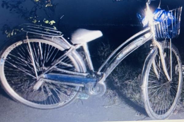 Tìm thấy người đàn ông và con gái 10 tuổi mất tích trong rừng ở Gia Lai-3