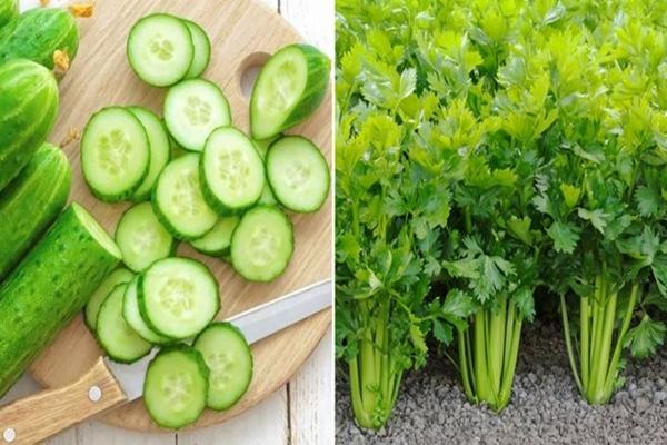 Những loại rau xanh ăn mỗi ngày cực tốt, giúp đào thải mỡ thừa, chống lão hóa-1