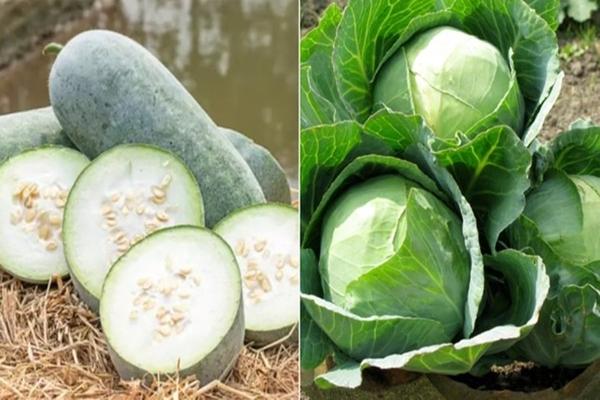 Những loại rau xanh ăn mỗi ngày cực tốt, giúp đào thải mỡ thừa, chống lão hóa-2