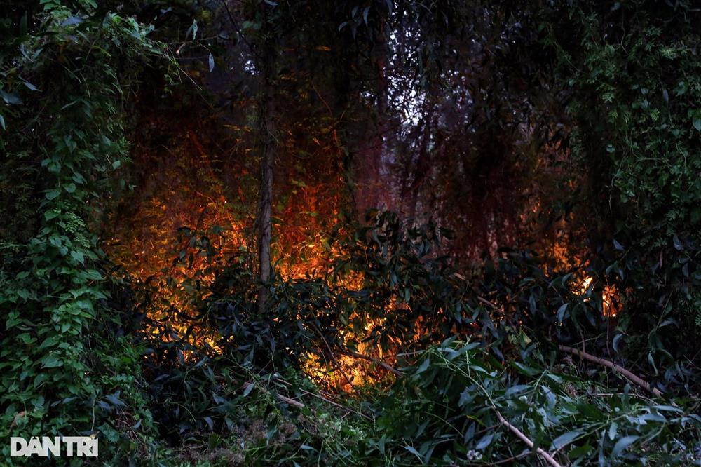 Cảnh sát đốt lửa chống muỗi khi tìm nghi phạm giết nhân viên quán cà phê-2