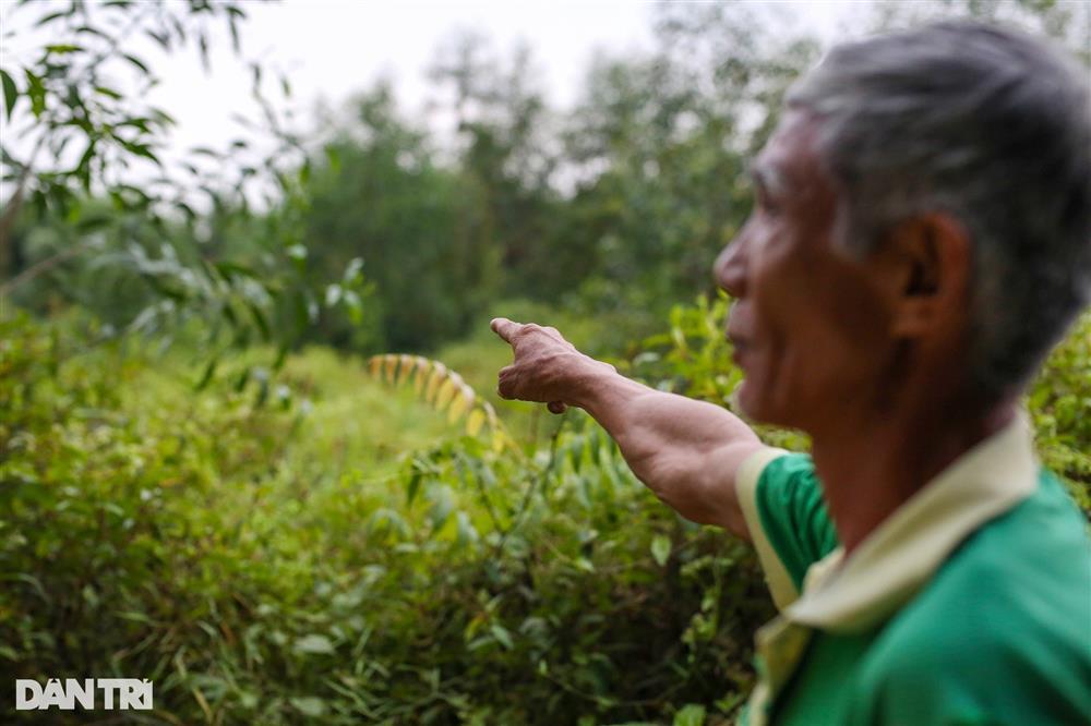 Cảnh sát đốt lửa chống muỗi khi tìm nghi phạm giết nhân viên quán cà phê-4