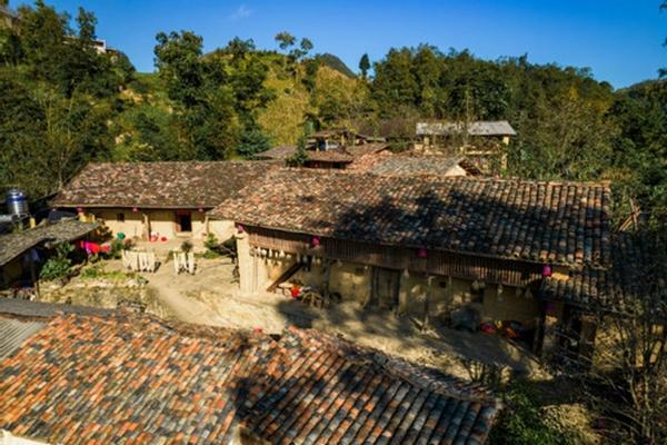 Mùa mai anh đào nhuộm hồng Lũng Cú, khách giơ máy có ngay ảnh ‘nghìn like’-8