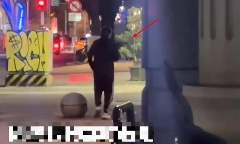 Vợ kém 40 tuổi của nhạc sĩ Lý Khôn Thành vô gia cư, cầu xin giúp đỡ-3