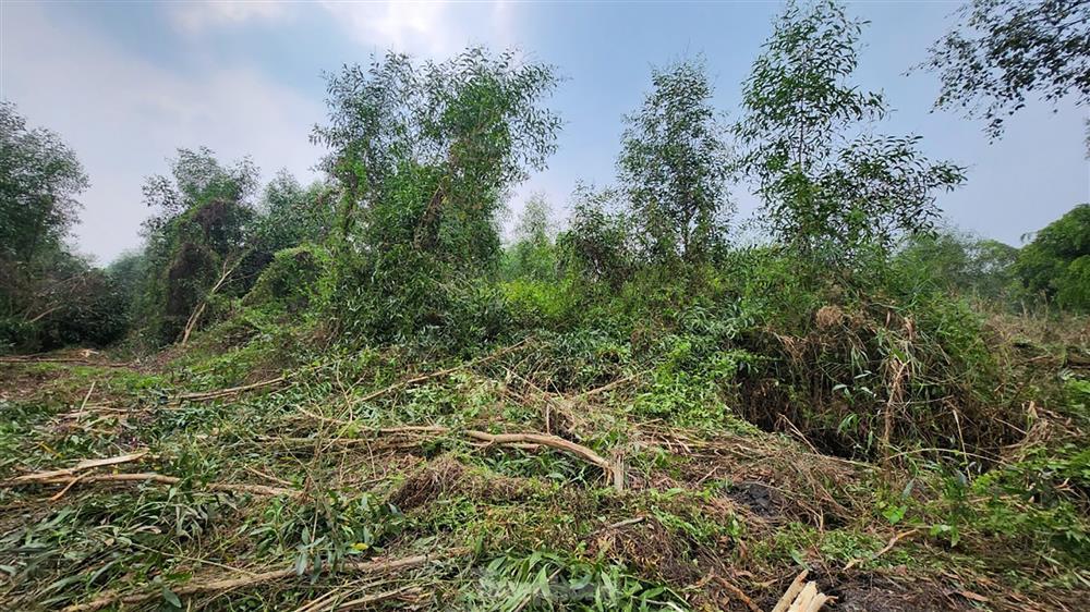 Khoảnh khắc nghi can giết người ở TPHCM bị khống chế-9