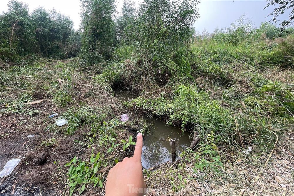 Khoảnh khắc nghi can giết người ở TPHCM bị khống chế-4