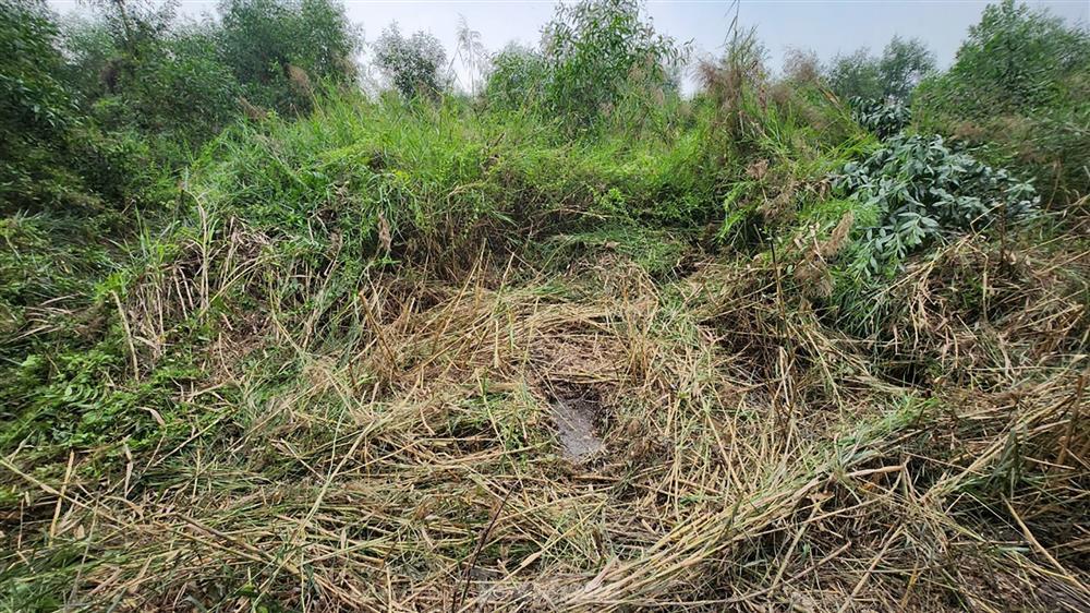 Khoảnh khắc nghi can giết người ở TPHCM bị khống chế-6