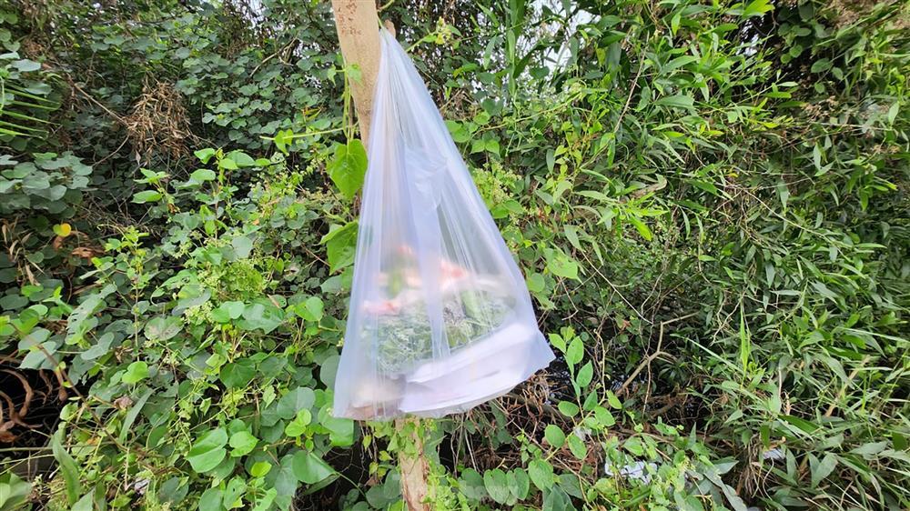 Khoảnh khắc nghi can giết người ở TPHCM bị khống chế-10