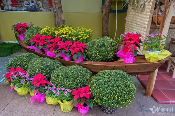 Du khách nô nức chụp ảnh Tết sớm ở cầu Thê Húc, Văn Miếu giữa trung tâm TP.HCM-5