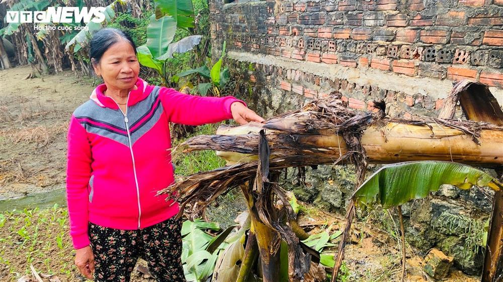 Hiện trường sau một ngày máy bay rơi ở Quảng Nam-4