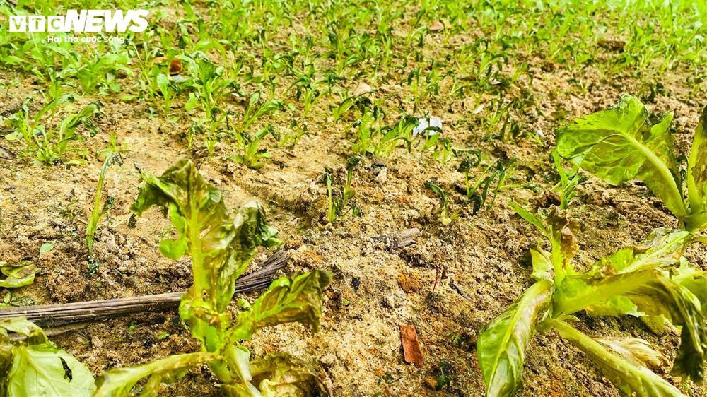 Hiện trường sau một ngày máy bay rơi ở Quảng Nam-5