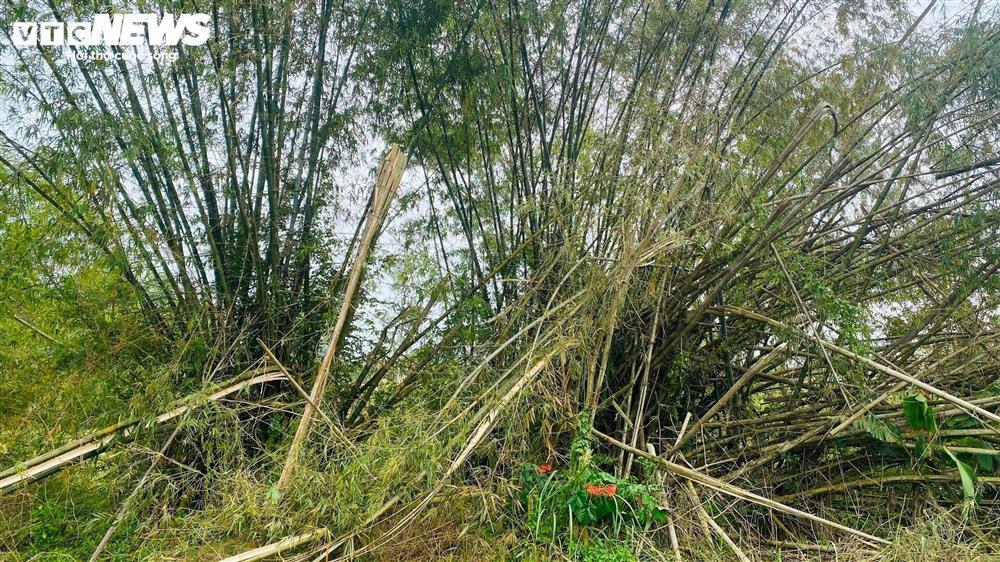 Hiện trường sau một ngày máy bay rơi ở Quảng Nam-6