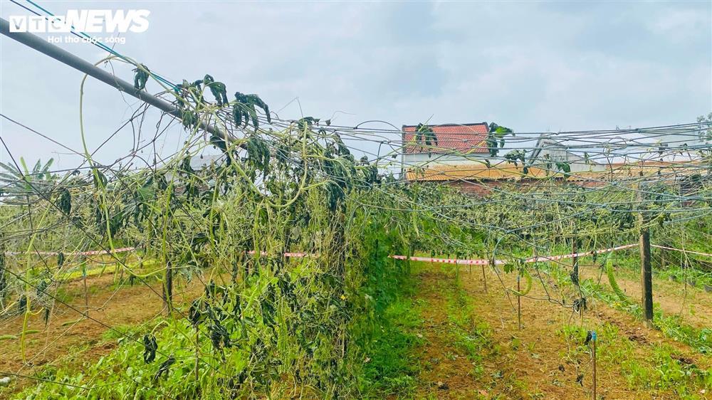 Hiện trường sau một ngày máy bay rơi ở Quảng Nam-9