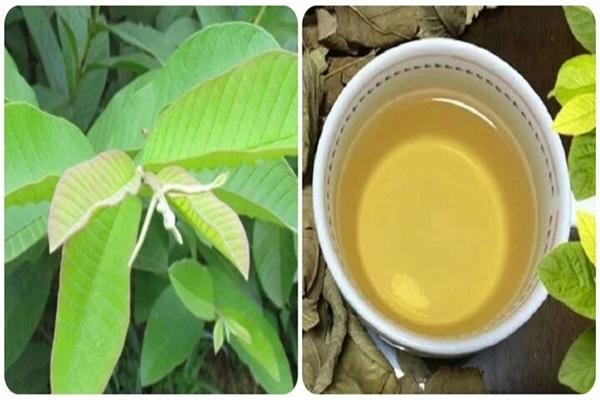 Một ngày nên nạp bao nhiêu calo?-2