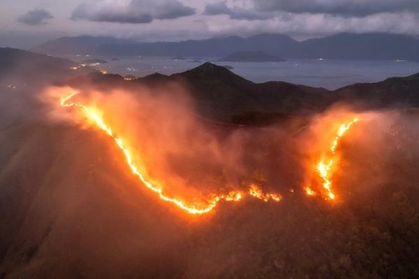 Trận mưa vàng dập tắt hoàn toàn đám cháy lớn trên núi Cô Tiên-3