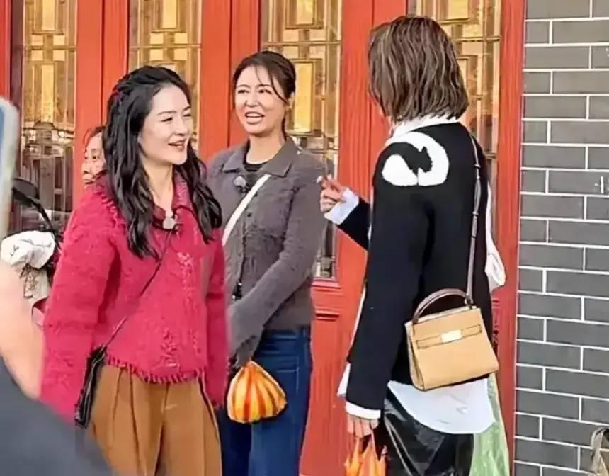 Lâm Tâm Như bị chê già khi lộ nhan sắc thực ở tuổi 48, người hâm mộ đồng cảm khi biết lý do thật sự-2