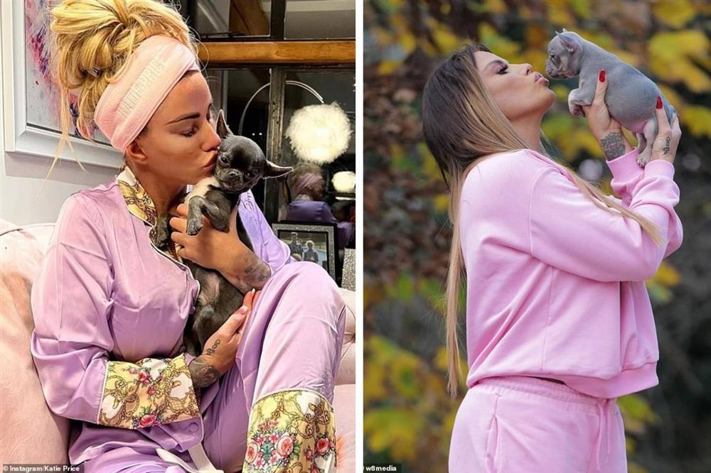 36.000 người mong người mẫu làm chết 7 vật nuôi không nuôi thú cưng nữa-2