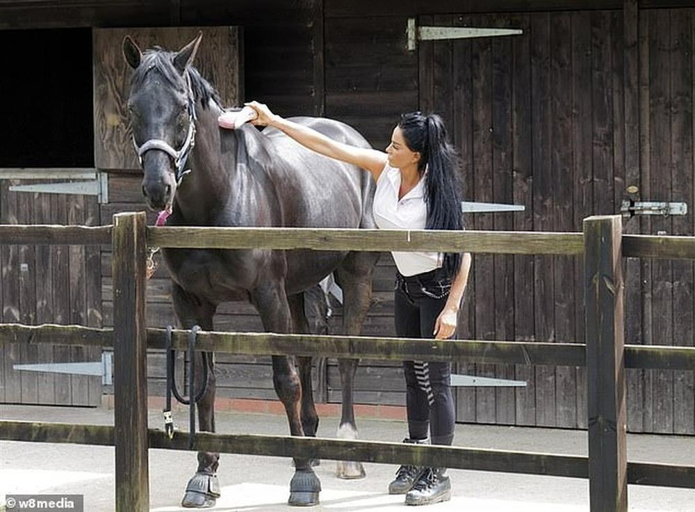 36.000 người mong người mẫu làm chết 7 vật nuôi không nuôi thú cưng nữa-3