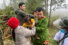 Tìm thấy bé gái mất tích khi đang bò trong rừng rậm ở Nghệ An