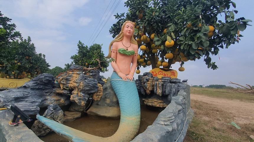 Vườn bưởi Tết cổ tích độc không đụng hàng hút khách ở Hưng Yên-4