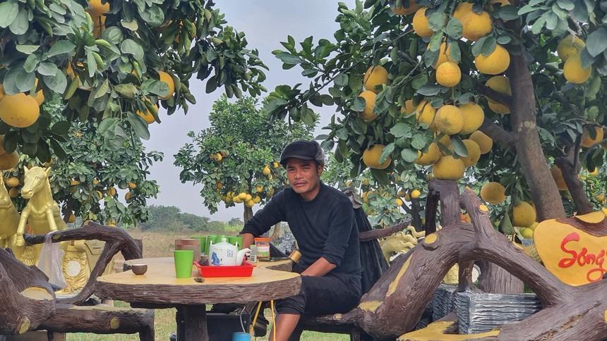 Vườn bưởi Tết cổ tích độc không đụng hàng hút khách ở Hưng Yên-5