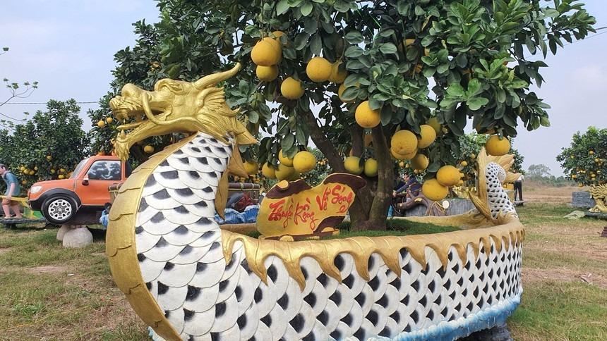Vườn bưởi Tết cổ tích độc không đụng hàng hút khách ở Hưng Yên-6