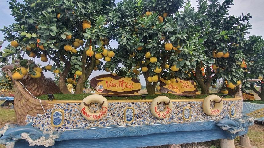Vườn bưởi Tết cổ tích độc không đụng hàng hút khách ở Hưng Yên-7