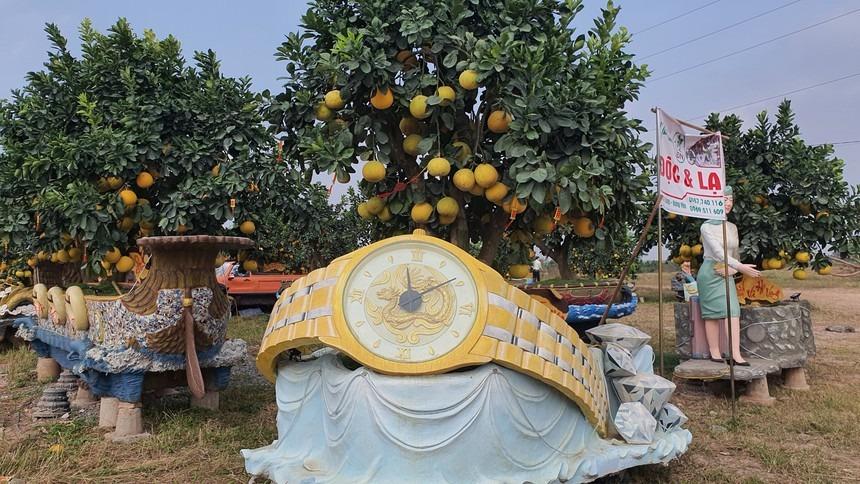 Vườn bưởi Tết cổ tích độc không đụng hàng hút khách ở Hưng Yên-8