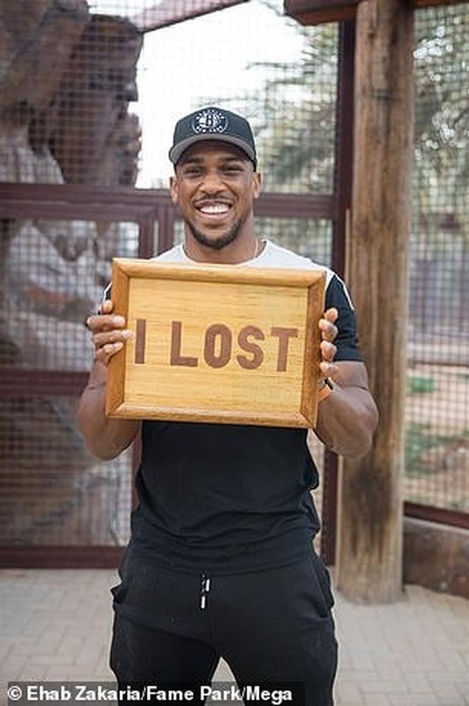 Võ sĩ hạng nặng Anthony Joshua đọ sức với sư tử-3