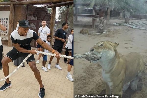 Bị xếp đấu nhầm với võ sĩ chuyên nghiệp, chàng trai sống thực vật suốt đời-3