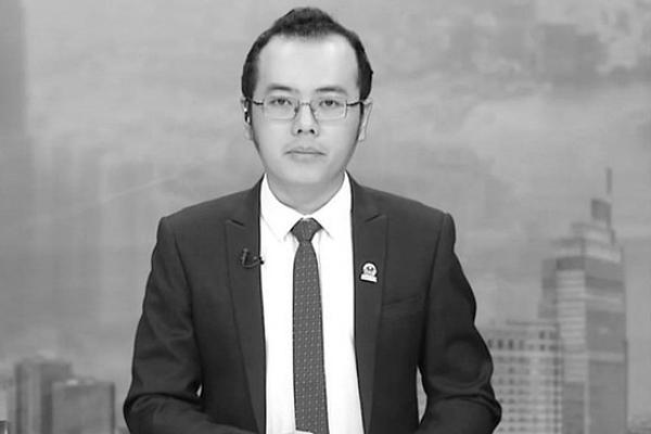 Thực hư xác ve sầu được thu mua giá tiền triệu-4