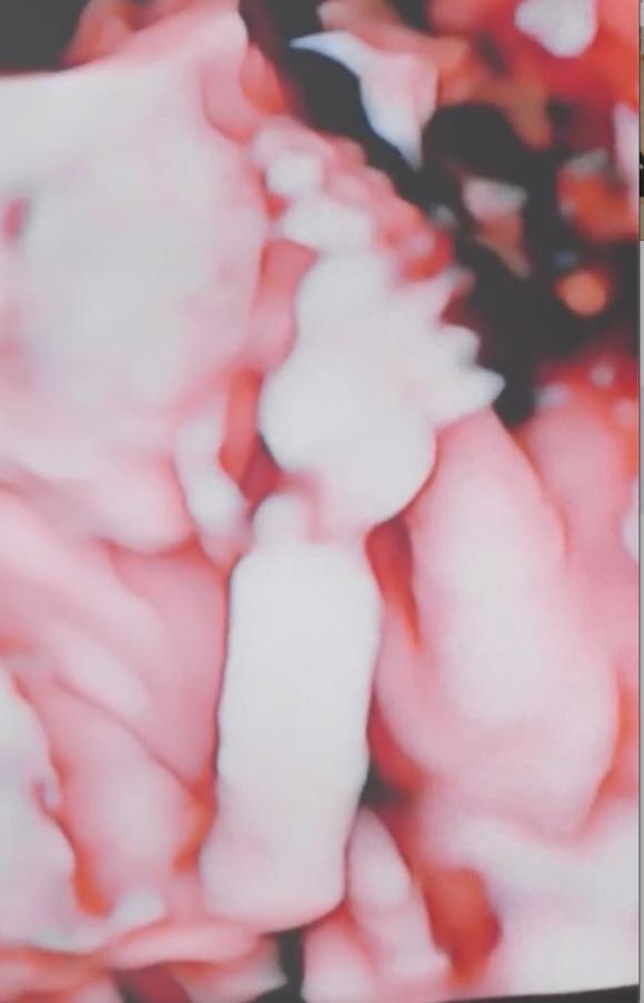 Mẹ bầu Phương Oanh lên đồ sành điệu khoe nhan sắc giữa thai kỳ, tiết lộ muốn sinh thêm con cho Shark Bình-4