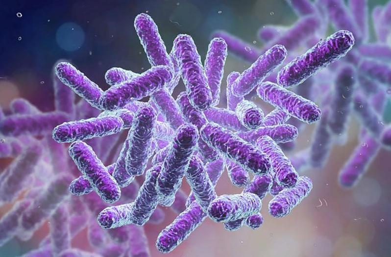 Nghiên cứu mới cho thấy nếp nhăn có thể do hệ vi sinh vật trên da gây ra-2